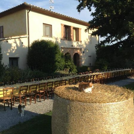 Agriturismo Giuncola & Granaiolo Rispescia Exterior foto